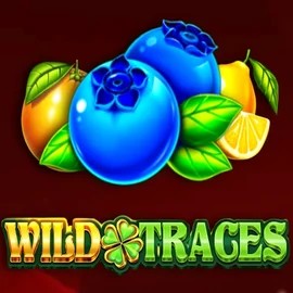 Enjoy Wild Traces by Amusnet Interactive – logo hosted on quickwin-casino.eu